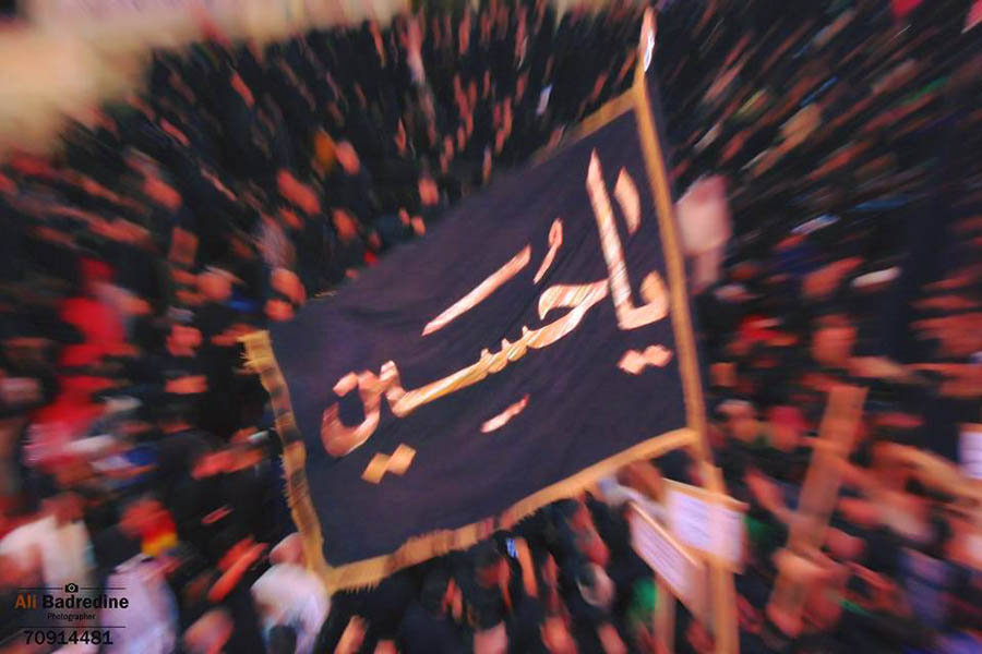 صور مميزة التقطت في زيارة الاربعين - (21-11-2016)